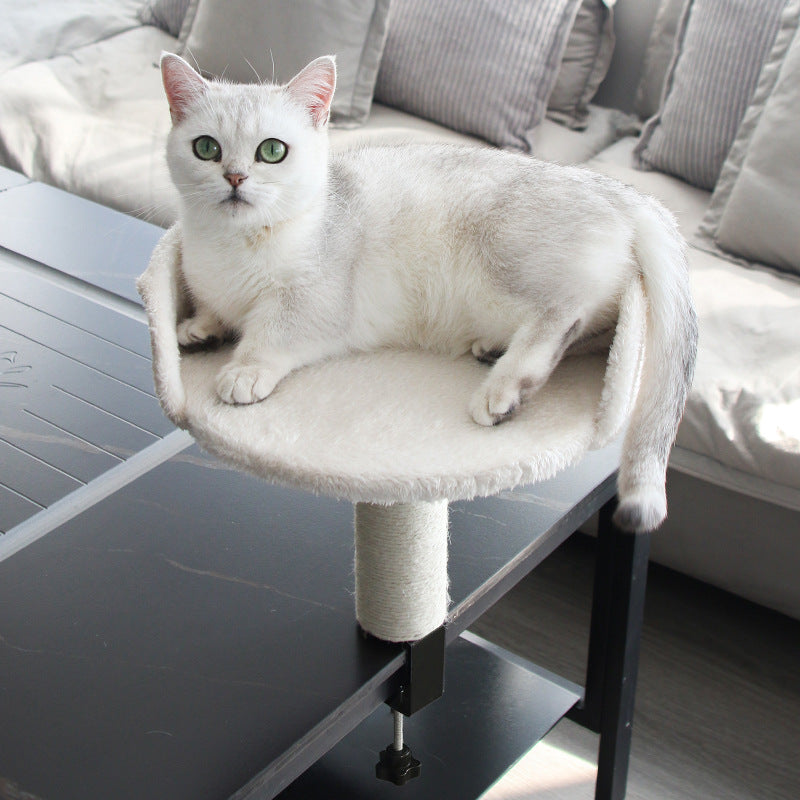 CozyClaw Cat Lounge