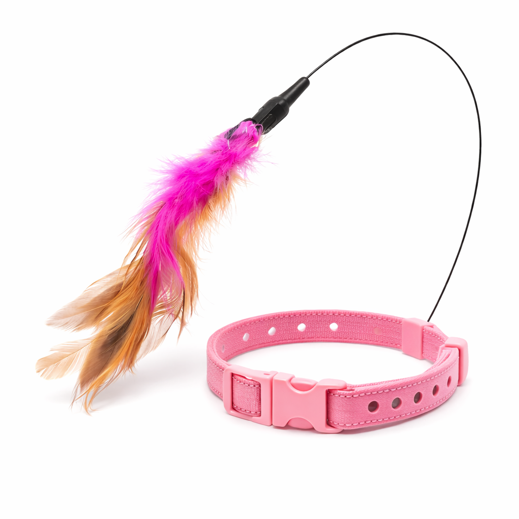 FeatherPlay Self-Entertainment Collar